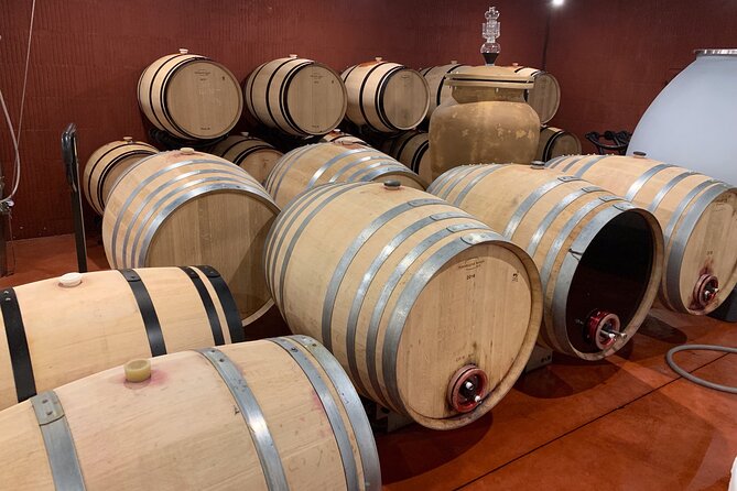 A day in Saint-Emilion in a small group (Electric Luxury Van) - Weather, group size, and the fixed schedule
