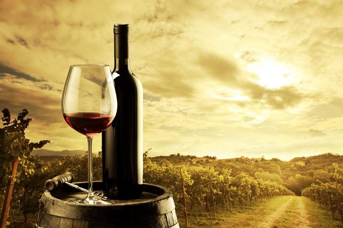 Adelaide Hills Luxury Wine Tour - Private Day Tour - Matt’s role makes the private format worthwhile