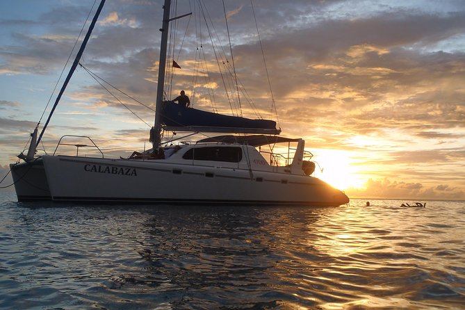 Afternoon Luxury Catamaran Sailing and Charter Cruise from Bridgetown - Key points to know before booking