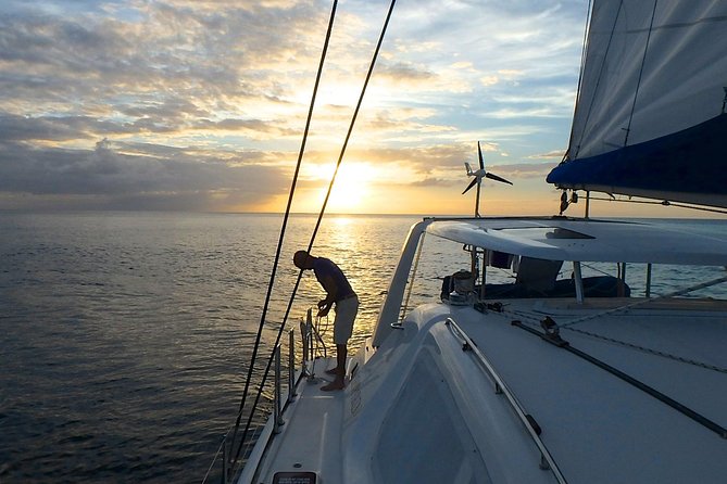 Afternoon Luxury Catamaran Sailing and Charter Cruise from Bridgetown - Setting out from Bridgetown with a small group