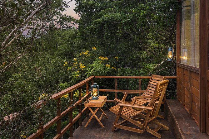 All Inclusive Leopard Nest Treehouse Safari in Yala - Why this Yala overnight feels different from a standard safari