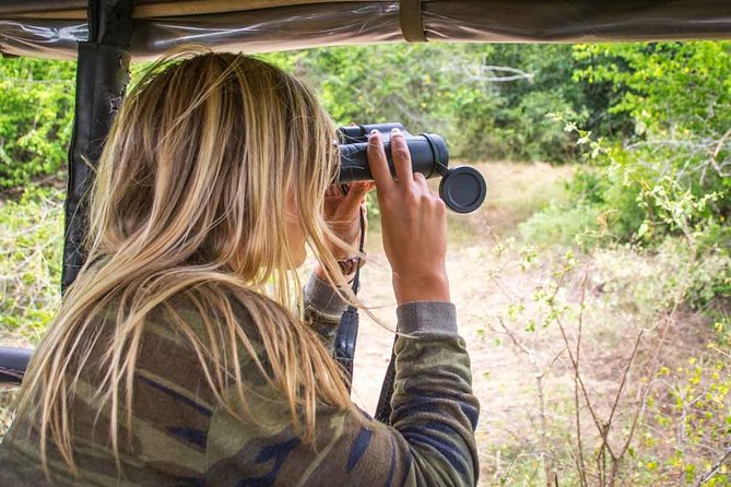 All Inclusive Leopard Nest Treehouse Safari in Yala - The 2:30 pm Yala game drive