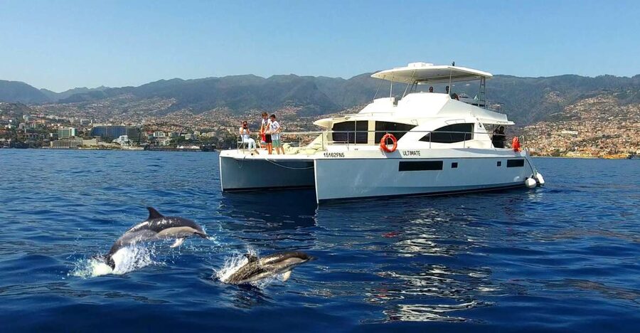All Inclusive Whale and Dolphin Watching Luxury Tour - At a glance