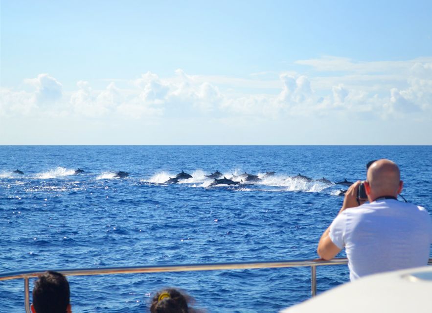 All Inclusive Whale and Dolphin Watching Luxury Tour - Wildlife watching with room to move