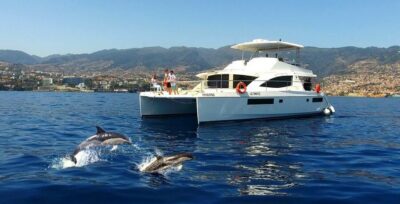 All Inclusive Whale and Dolphin Watching Luxury Tour