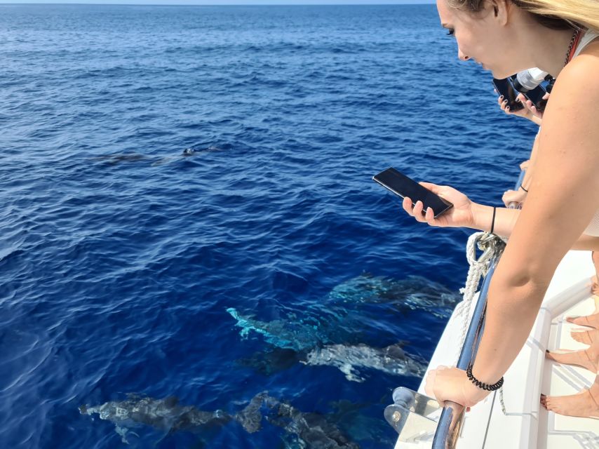 All Inclusive Whale and Dolphin Watching Luxury Tour - Local food and the open bar