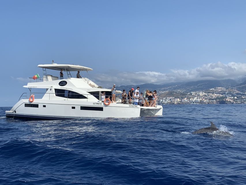 All Inclusive Whale and Dolphin Watching Luxury Tour - Why the $93 price can make sense