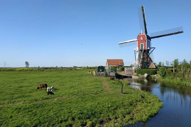 Amsterdam and Countryside Private Full-Day Tour by luxury car - Monnickendam and the farm cheese stop