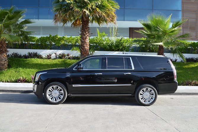 Arrival Luxury Transportation: Punta Cana International Airport to Hotels (1-5) - Key points to know before booking