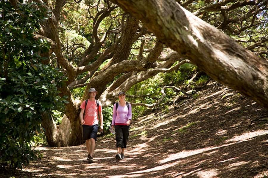 Auckland City & West Coast Luxury Tour - Key points to know before booking