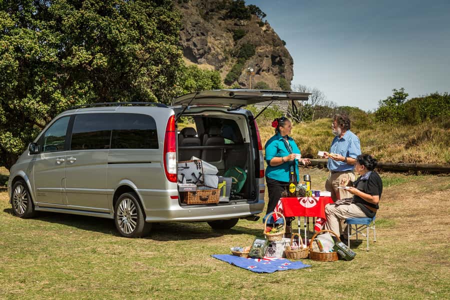 Auckland City & West Coast Luxury Tour - Volcanic Auckland and wide water views