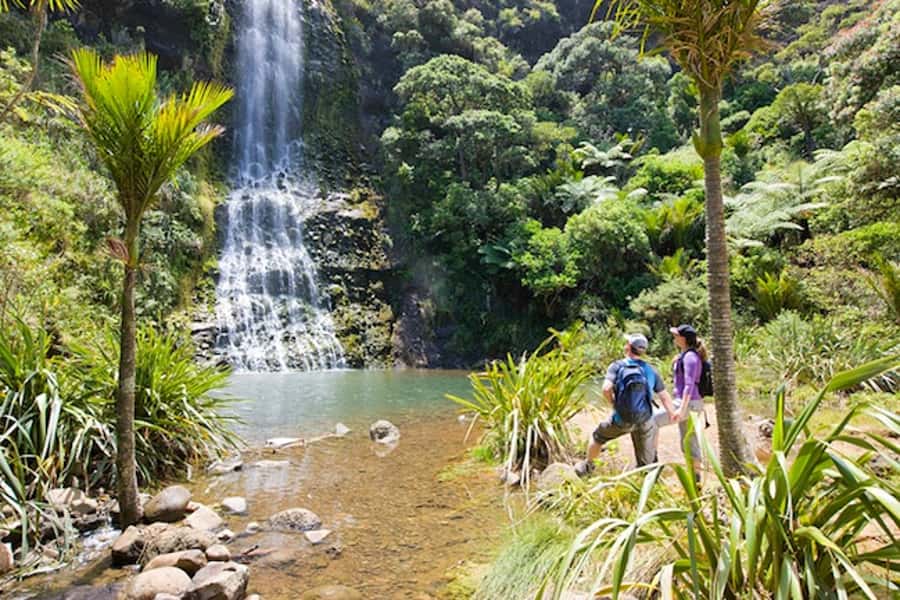 Auckland City & West Coast Luxury Tour - What the guides add to the day
