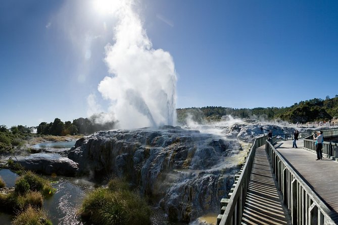 Auckland Sights Exclusive 4 Hour Luxury Day Tour - Why this private Auckland tour works well