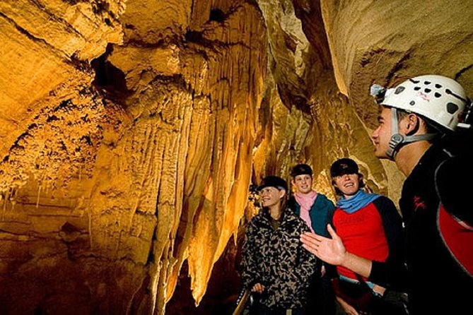 Auckland Sights Exclusive 4 Hour Luxury Day Tour - The guides make the difference