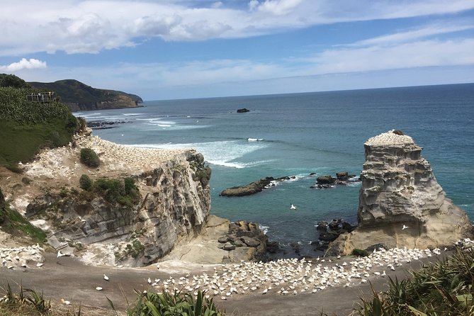 Auckland Sights Exclusive 4 Hour Luxury Day Tour - Orakei Basin and Paritai Drive: a polished start