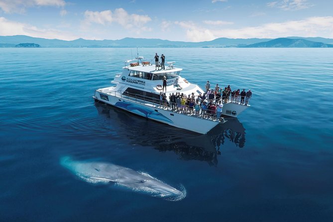 Auckland Sights Exclusive 8 Hour Luxury Day Tour - Arataki Visitor Centre in the Waitakere Ranges