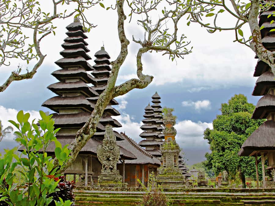Bali: Green and Heritage West Trip Private Tour, Luxury Car - Key points at a glance
