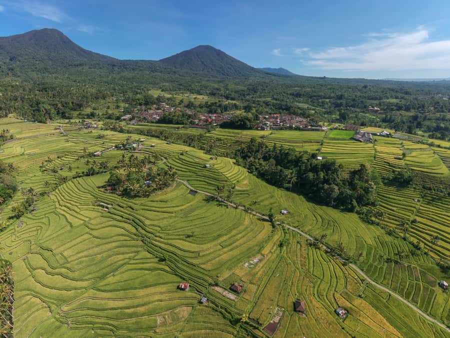Bali: Green and Heritage West Trip Private Tour, Luxury Car - What is included and what you will pay extra