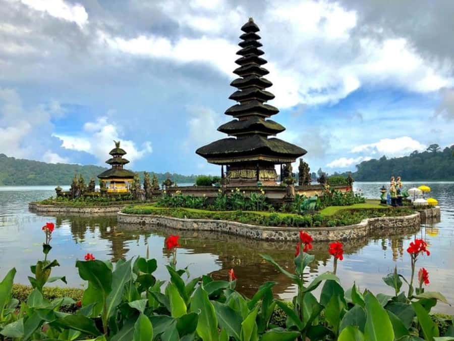 Bali: Green and Heritage West Trip Private Tour, Luxury Car - The driver-guide is a major part of the experience