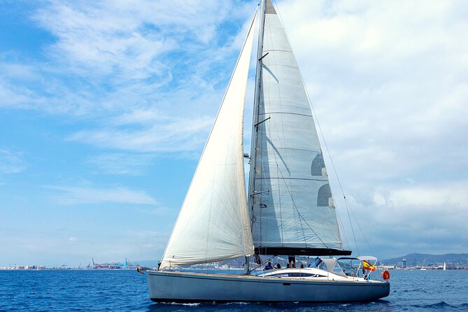 Barcelona Luxury Yacht Cruise – Day or Sunset, Open Bar & Snacks - The swim stop and possible marine life