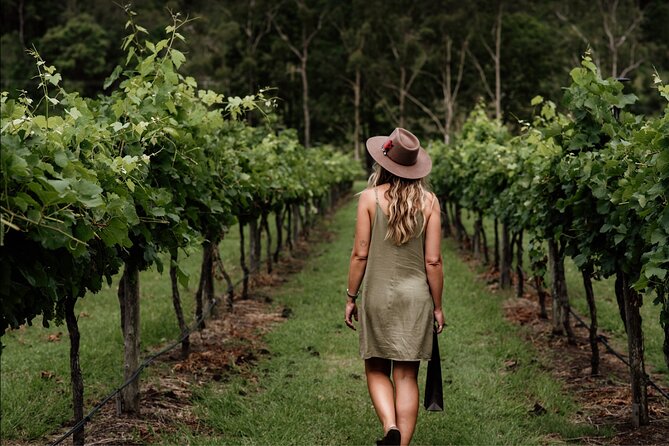 Barefoot Luxury Mount Tamborine Winery Tour from Brisbane - Key points at a glance