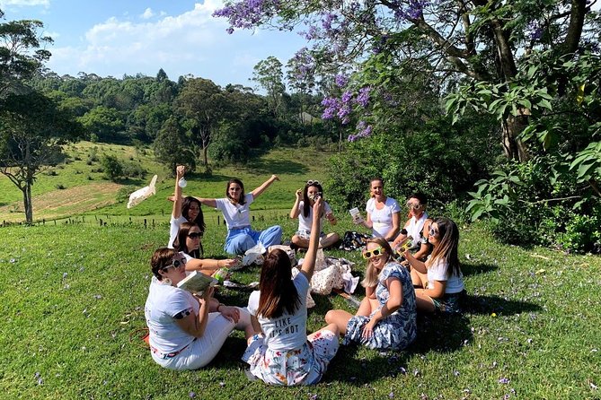 Barefoot Luxury Mount Tamborine Winery Tour from Gold Coast - A two-course lunch with a mountain view
