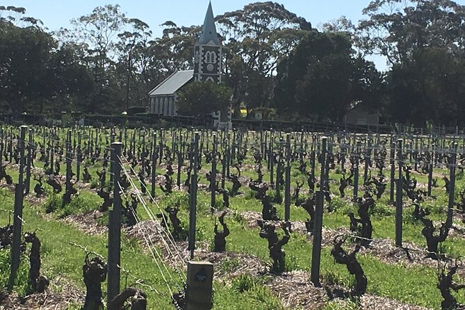 Barossa Valley Private Luxury Tour Full Day - Choosing between famous names and smaller wineries