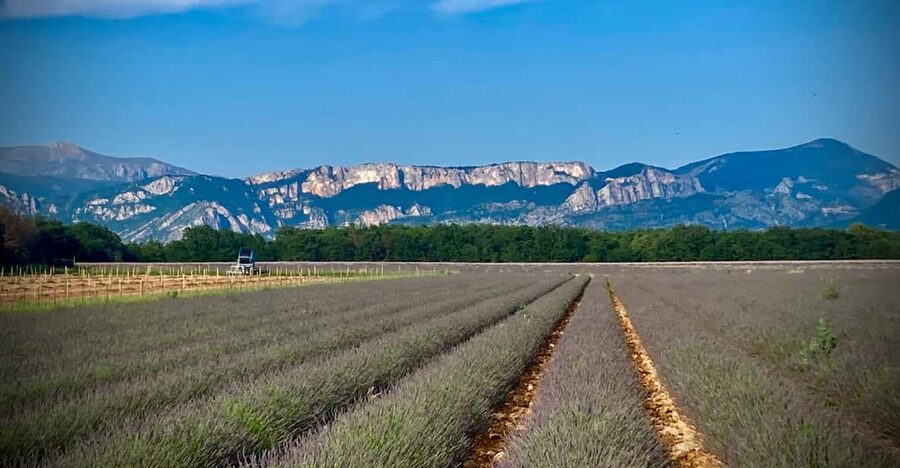 Bespoke Luxury Sightseeing Experiences - The Charming tour: Antibes, Saint-Paul-de-Vence, and Grasse