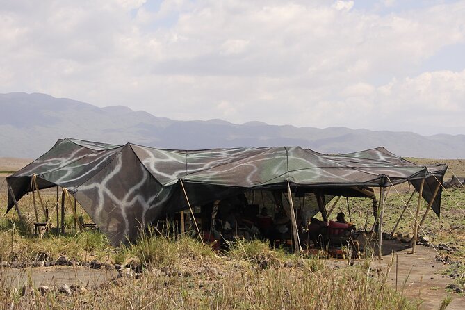 Best 5 Days Tanzania Private Luxury Safari with luxury Lodges - Day 2: The long road to Central Serengeti