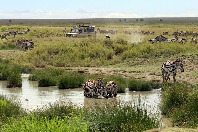 Big Five Luxury 7 Days Safari Tour in Arusha - Day 2: Tarangire and its large elephant herds