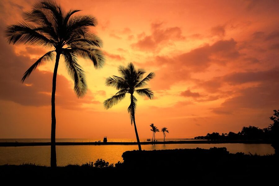 Big Island: Luxury Catamaran Trip along the Kona Coast - How the $449 price makes sense