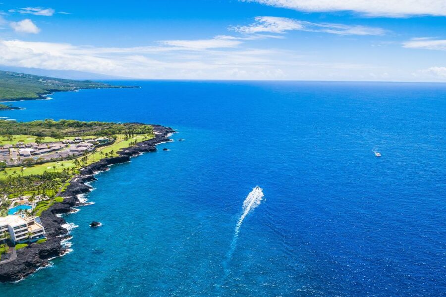 Big Island: Luxury Catamaran Trip along the Kona Coast - What past trips tell you about the crew
