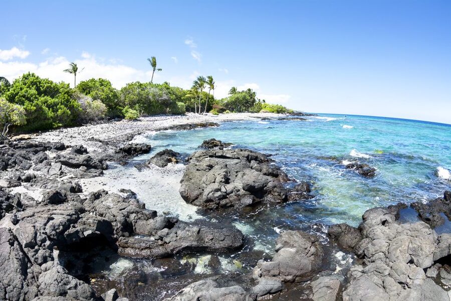 Big Island: Luxury Catamaran Trip along the Kona Coast - Leaving Honokohau Harbor