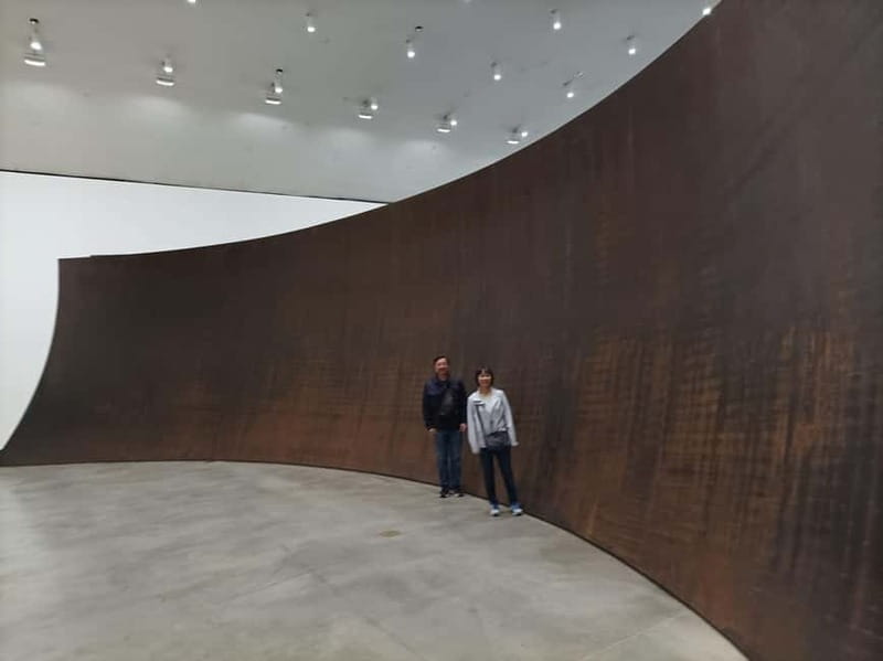 Bilbao: Guggenheim VIP Experience. Small Group. Expert Guide - Price and what the $89 covers