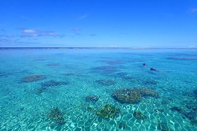 Bora Bora: Luxury Private Half Day Snorkeling Tour - Three and a half hours on Bora Bora’s lagoon