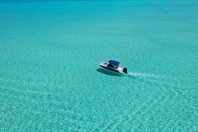 Bora Bora: Luxury Private Half Day Snorkeling Tour - A possible extra stop for dolphins