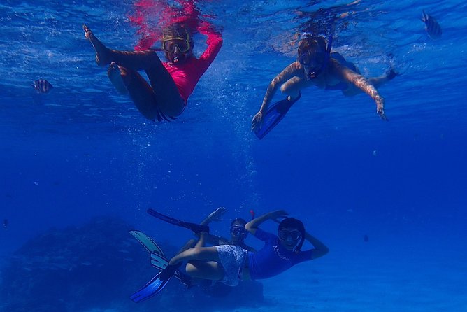 Bora Bora: Luxury Private Half Day Snorkeling Tour - Is $780 a fair price?