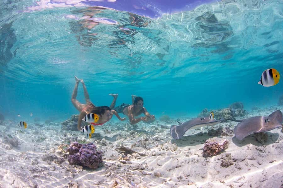 Bora Bora Luxury Tour and Beach Picnic - Coral gardens and useful snorkeling help