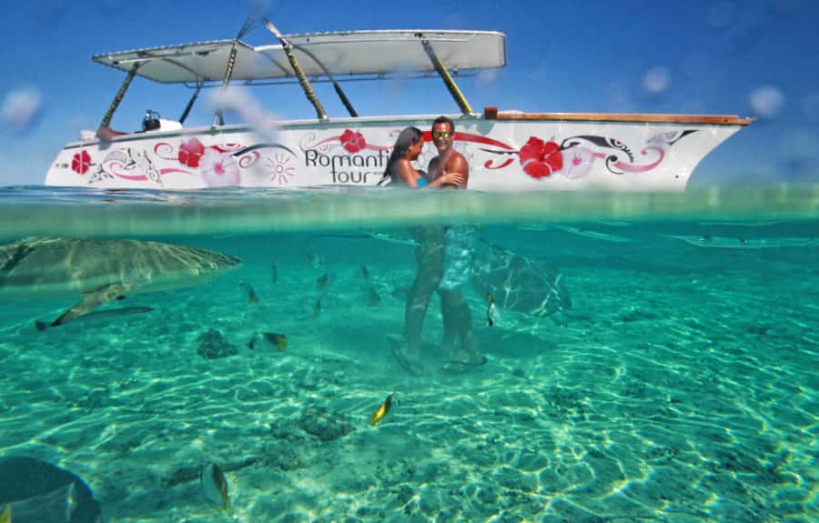 Bora Bora Luxury Tour and Beach Picnic - Who will enjoy this Bora Bora day