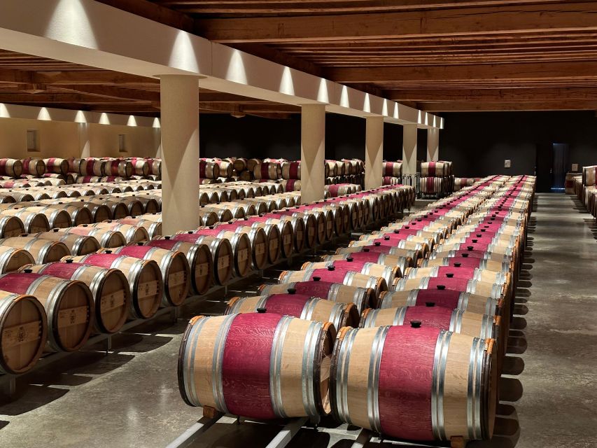 Bordeaux: Medoc tour in a small group (Luxury Mercedes EQV) - A Local French Lunch