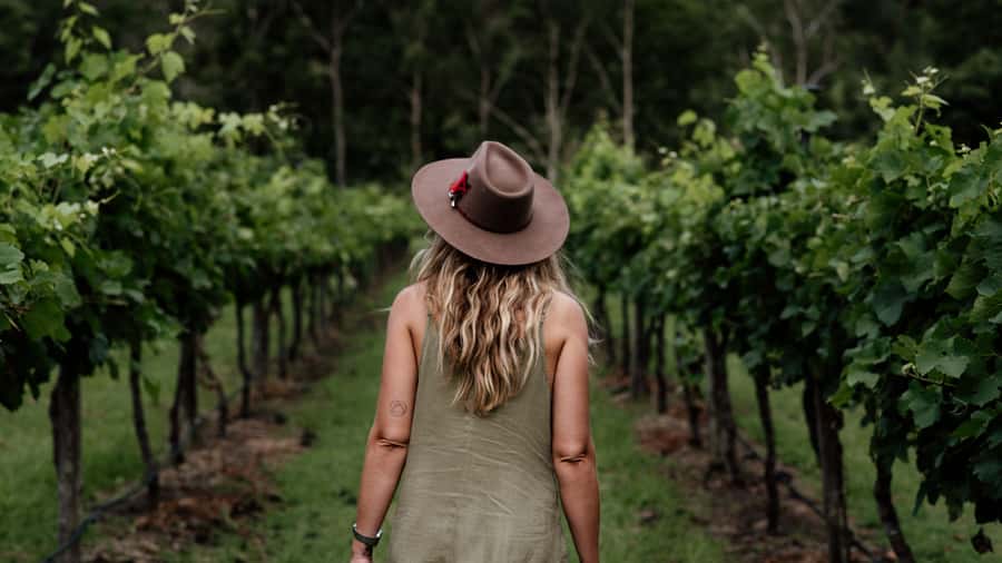 Brisbane: Boutique Winery Tour with Gourmet Lunch - Hampton Estate Winery and the first tasting