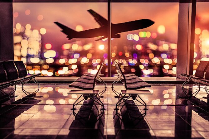 Bucharest Luxury Airport Transfer with Minivan and Business Cars - Choosing between a business car and a minivan