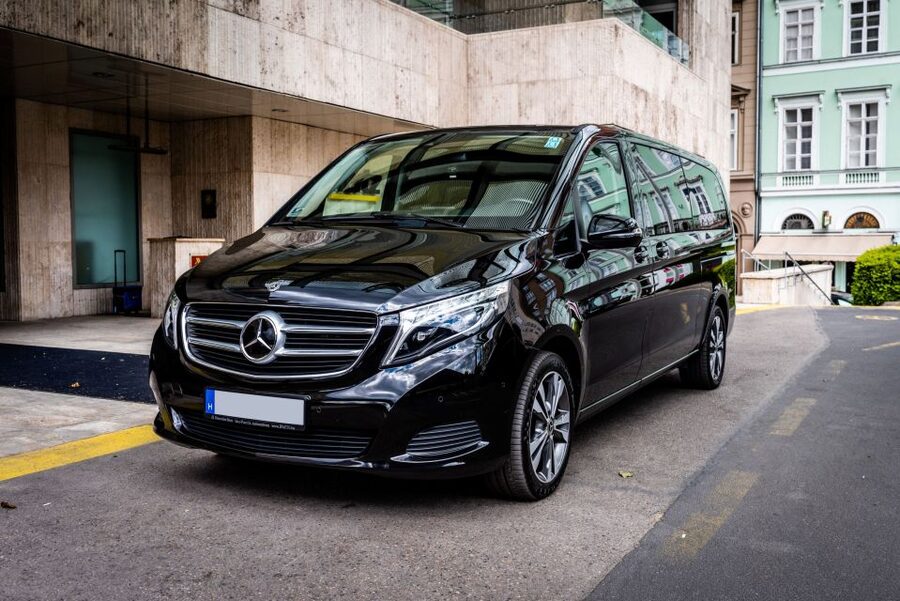 Budapest: Private Luxury Sightseeing Tour - Timing, languages, and comfort