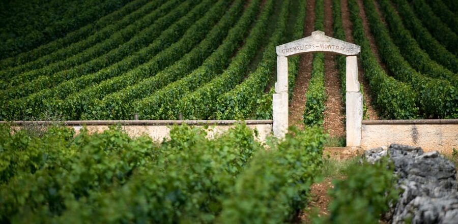 Burgundy Vineyards: Luxury Private Tours - Practical Details Before You Book