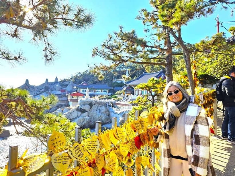 Busan: Cruise Port – Premium Small Group Tour (Max 6 Guests) - Songdo Yonggung Cloud Bridge above the water