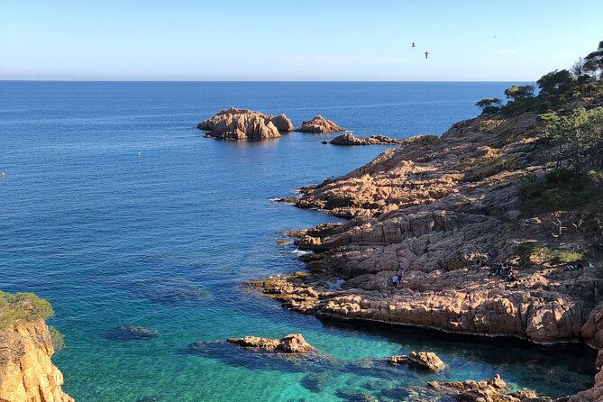 Cadaqués/Begur Private Luxury Tour Costa Brava by Mercedes Vogue - Key points to know before booking