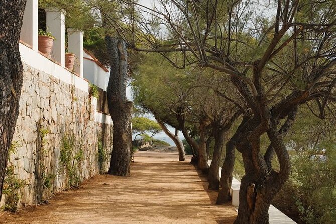 Cadaqués/Begur Private Luxury Tour Costa Brava by Mercedes Vogue - Who should book this Costa Brava day