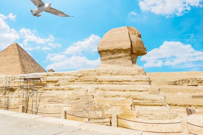 Cairo &Giza VIP 8 hours tour Pyramids, Museum,expert Guide,pickup - Khan El-Khalili for one hour