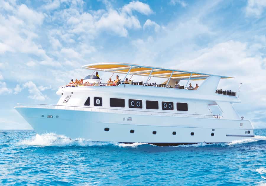 Cairo: Luxury Snorkeling Cruise & lunch with optional pickup - Boarding at Dome Marina Sailing Centre