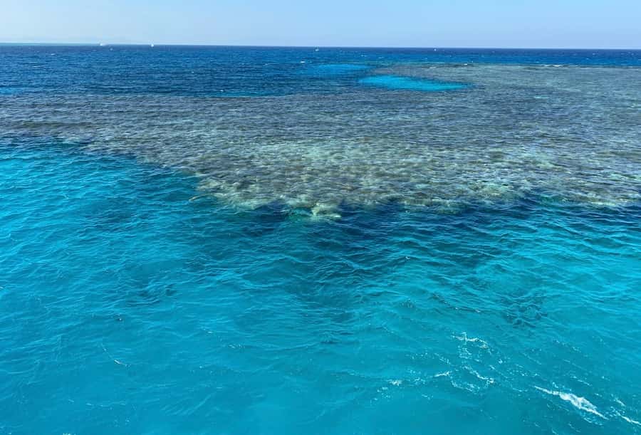 Cairo to Red Sea: VIP Yacht Cruise, Snorkeling & Lunch - The cruise to Jabal el Sakka